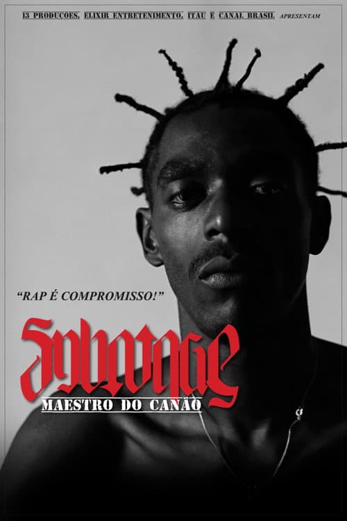 Sabotage: Maestro do Canão (2015) poster