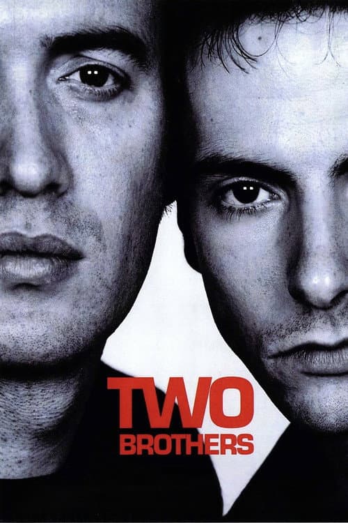 Two Brothers (2001) poster