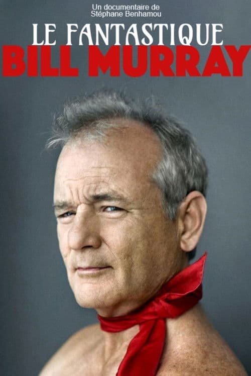 Le Fantastique Mr Murray (2019) poster
