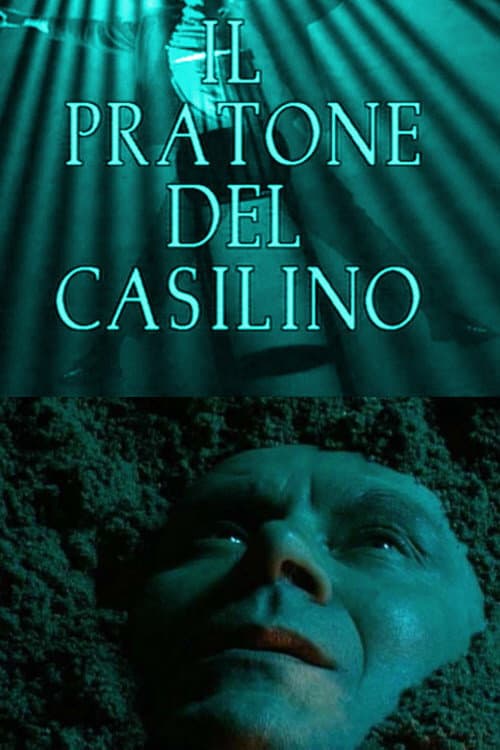 Il pratone del Casilino (1995) poster