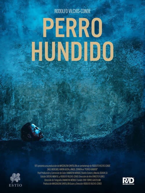 Perro Hundido (2024) poster