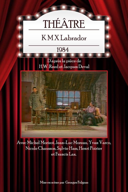K M X Labrador (1984) poster
