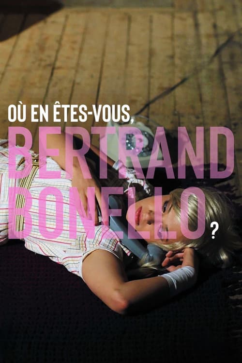 Où en êtes-vous, Bertrand Bonello? (2014) poster