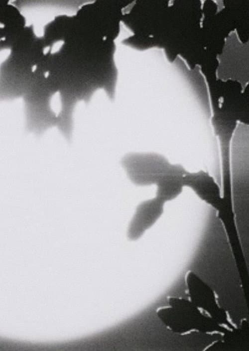 Sakura (1989) poster