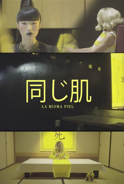 La misma piel (2015) poster