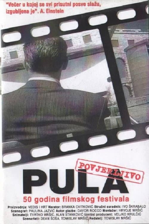 Pula povjerljivo (2003) poster