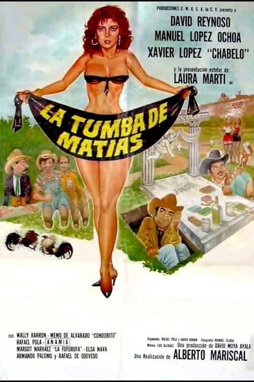 La tumba de Matías (1988) poster