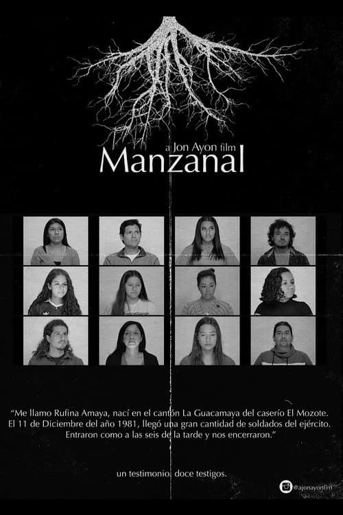Manzanal (2020) poster