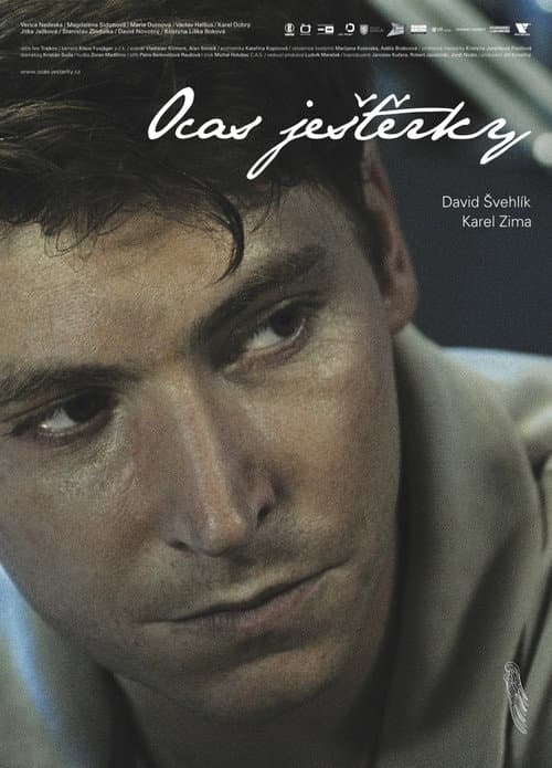 Ocas ještěrky (2009) poster