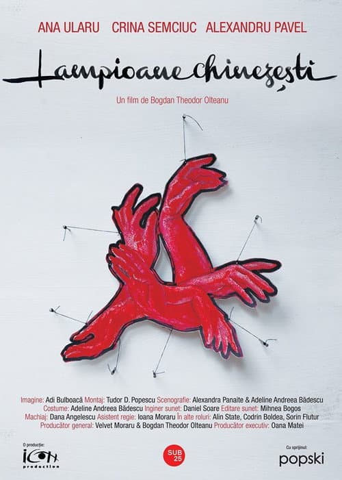 Lampioane chinezești (2015) poster