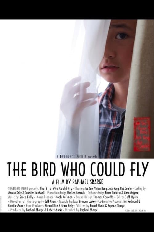 The Bird Who Could Fly (2017) poster