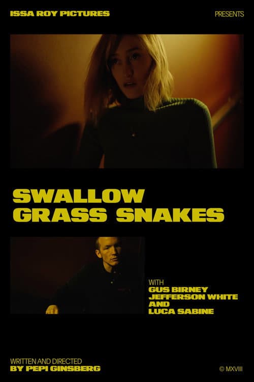 Swallow Grass Snakes (2019) poster