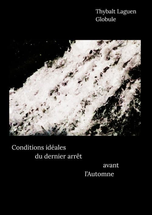 Conditions idéales du dernier arrêt avant l'Automne (2026) poster