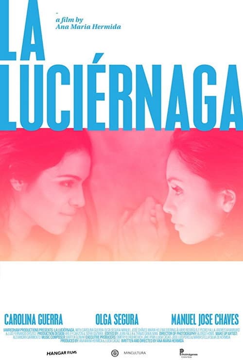 La luciérnaga (2013) poster