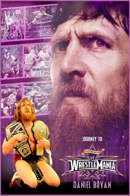 Daniel Bryan: Journey to WrestleMania 30 (2014) poster