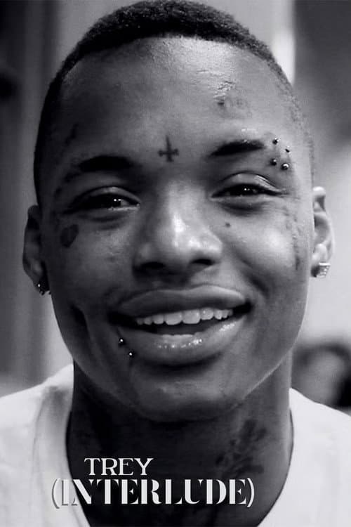 Trey (Interlude) (2012) poster