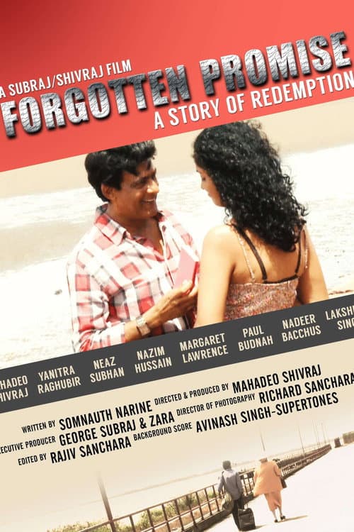 Forgotten Promise (2014) poster
