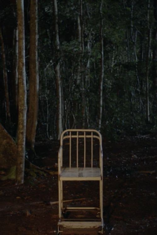O Fim da Noite (2018) poster