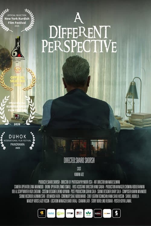 A Different Perspective (2025) poster