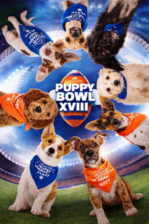 Puppy Bowl XVIII (2022) poster