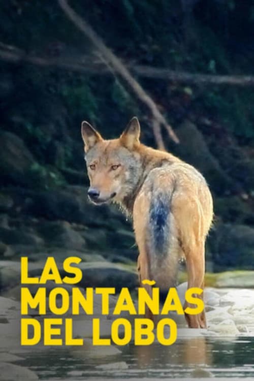 Las montañas del lobo (2003) poster