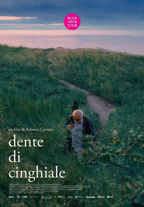 Dente di cinghiale (2026) poster