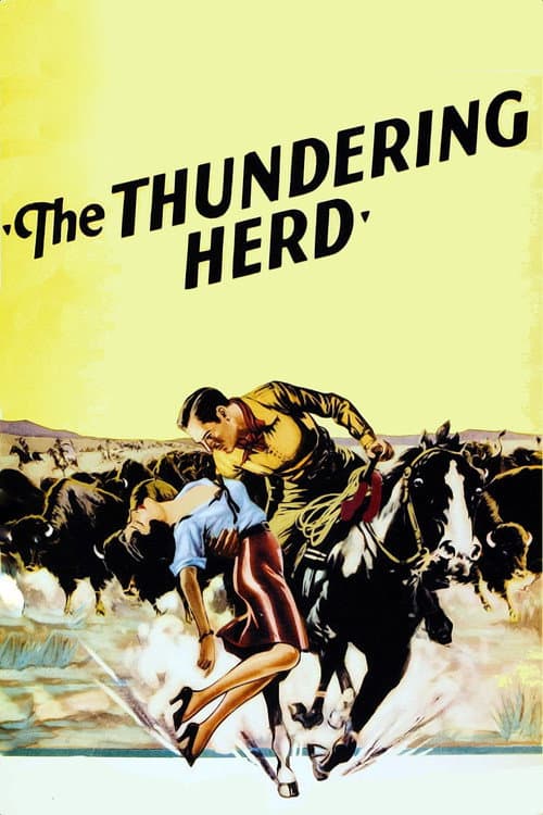 Buffalo Stampede (1933) poster