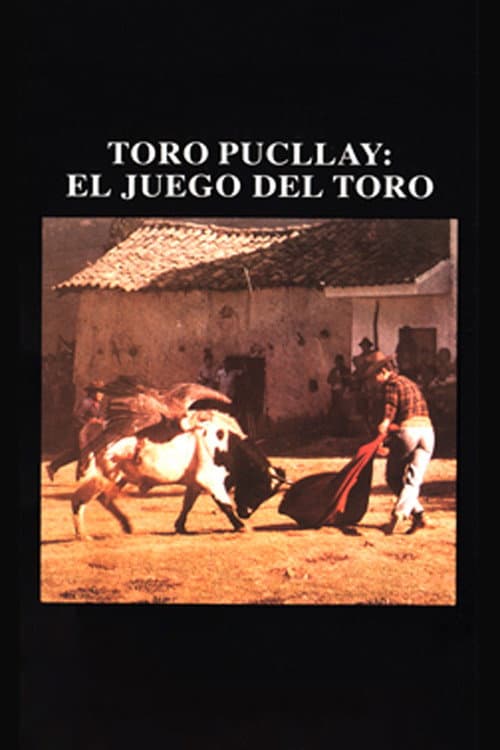 Toro Pucllay (1998) poster