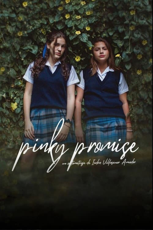 Pinky Promise (2020) poster