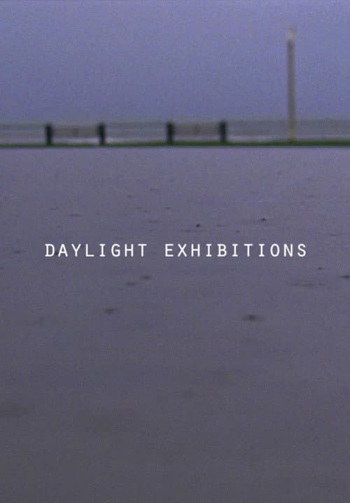 Daylight Exhibitions (2016) poster