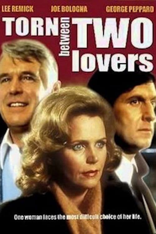 Torn Between Two Lovers (1979) poster