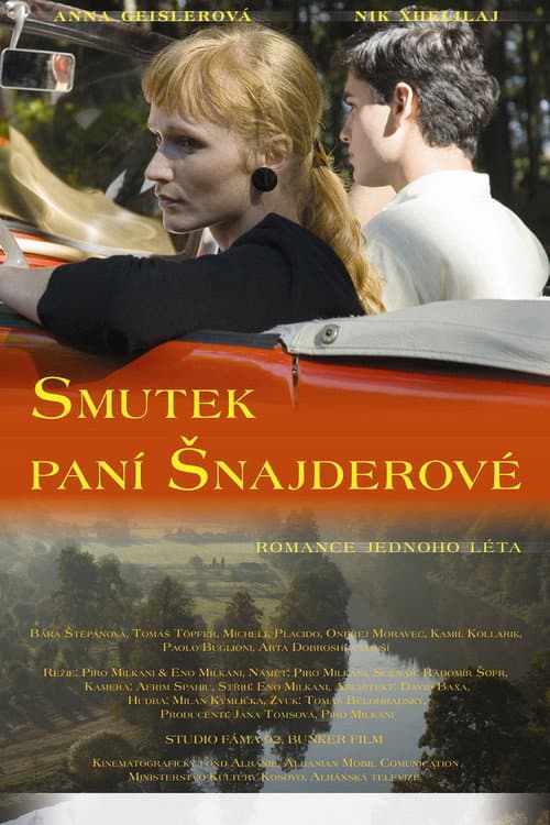 Trishitimi i zonjës Shnider (2008) poster