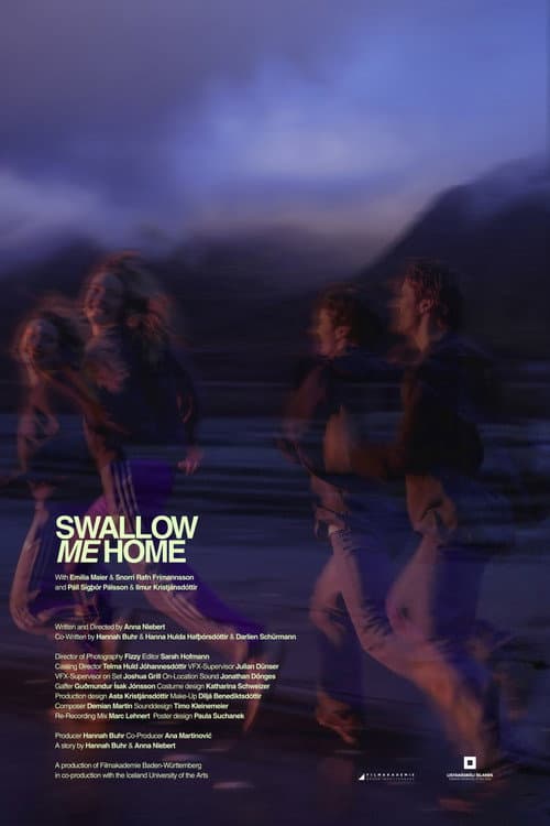 Swallow me home (2026) poster