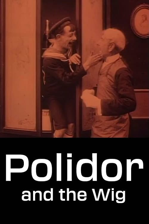 Polidor e la parrucca (1917) poster