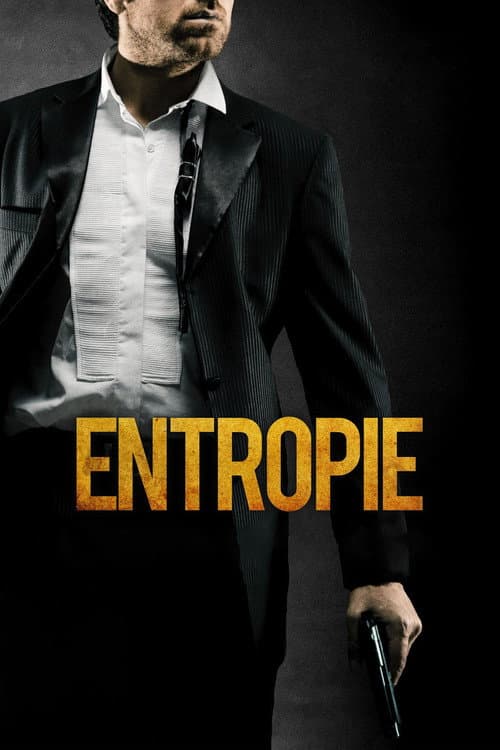 Entropie (2011) poster