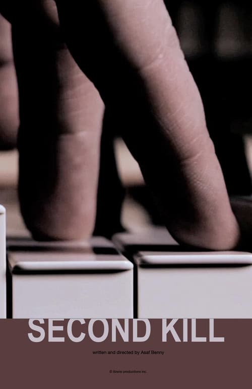 Second Kill in B minor (2011) poster
