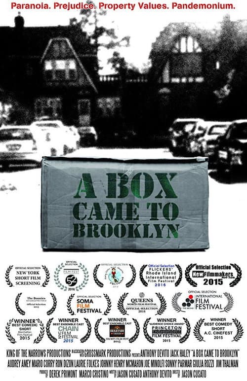 A Box Came to Brooklyn (2015) poster