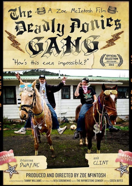 The Deadly Ponies Gang (2014) poster