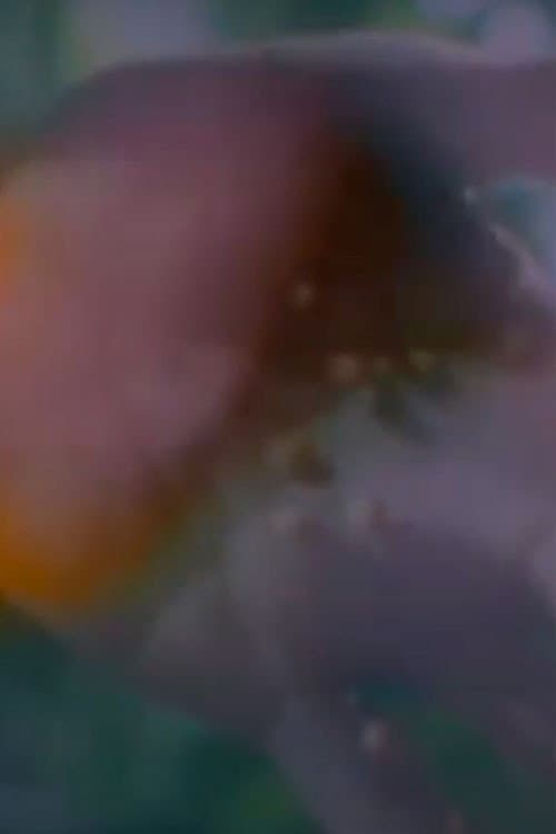 Birth (1997) poster
