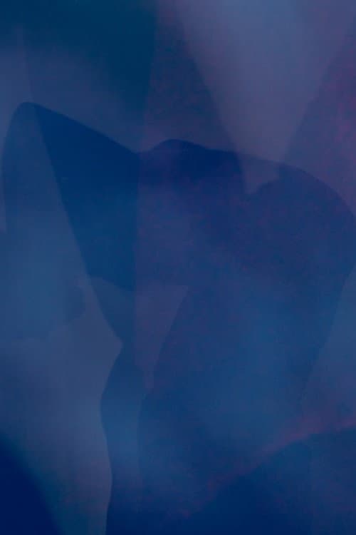 Self Portrait as a Shadow (2026) poster
