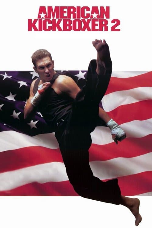 American Kickboxer 2 (1993) poster