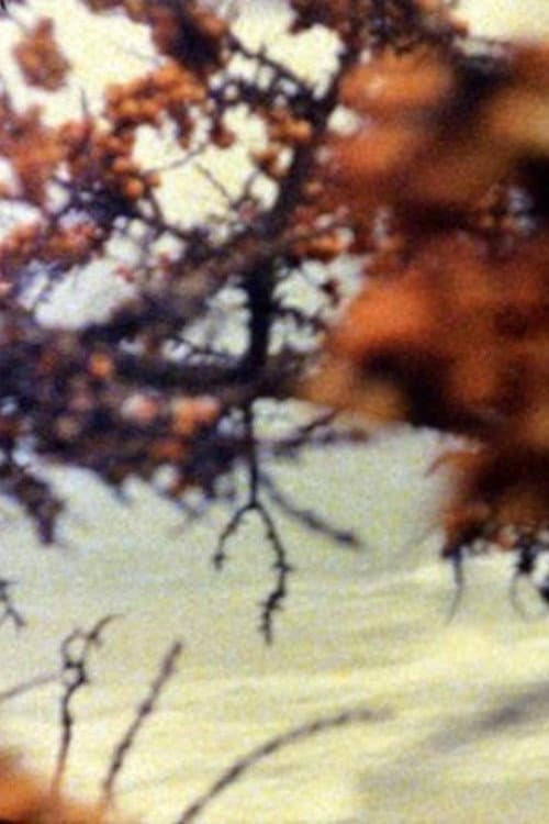 Am Meer (1995) poster