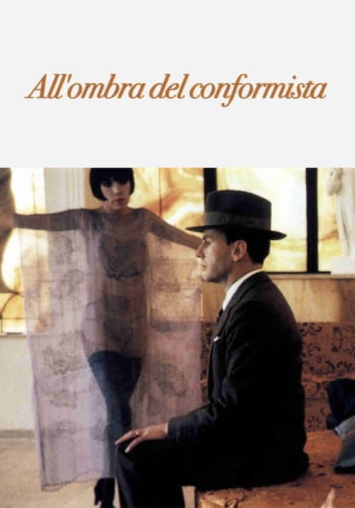 In the Shade of the Conformist (2011) poster