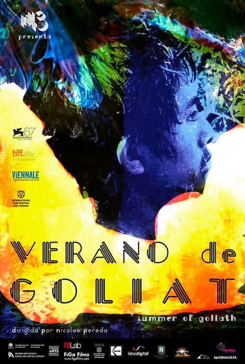 Verano de Goliat (2011) poster