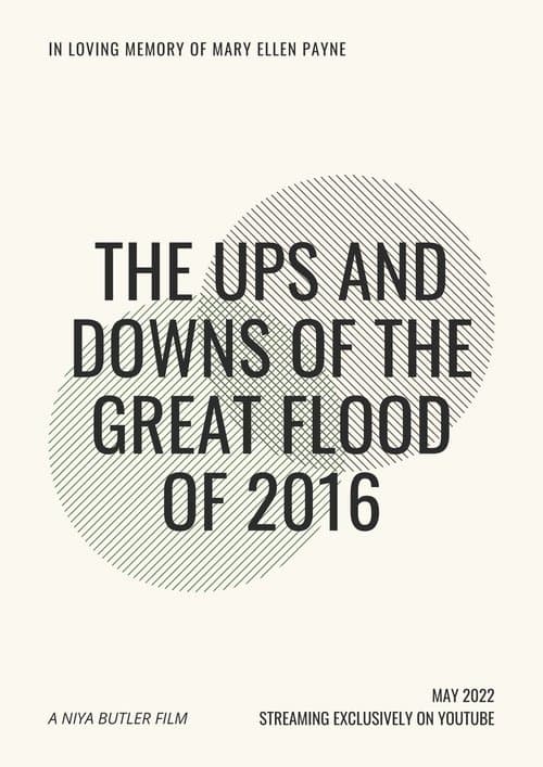 The Ups and Downs of the Great Flood of 2016 (2022) poster