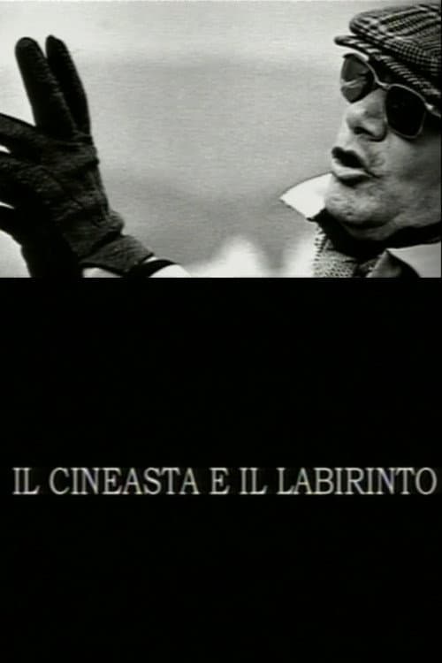 Il cineasta e il labirinto (2004) poster