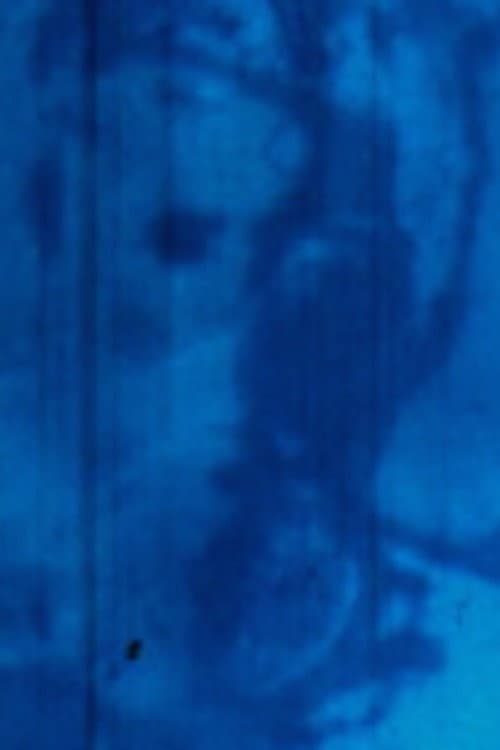 Rayures (Rayures, effacement / Disparition) (2005) poster