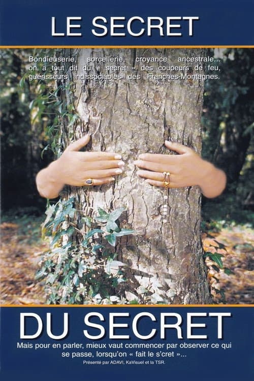 Le Secret du Secret (2000) poster