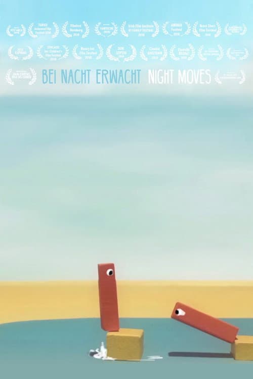 Bei Nacht erwacht (2018) poster