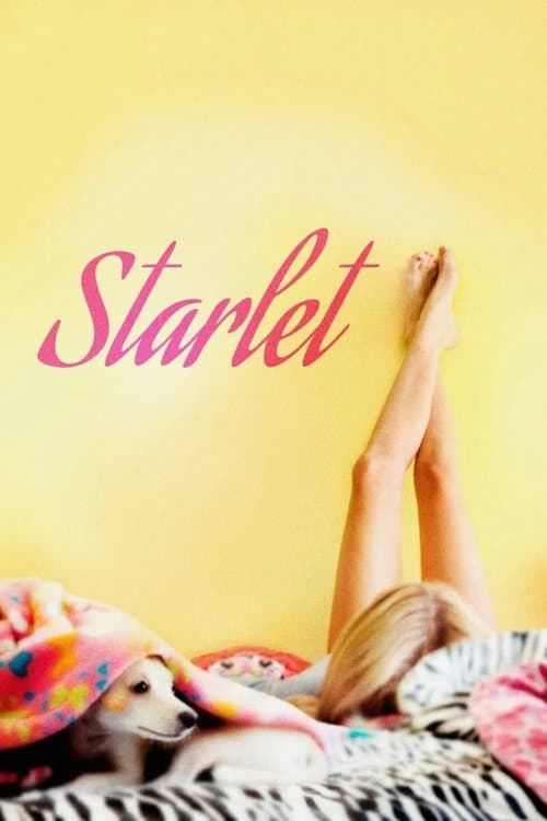Starlet (2012) poster